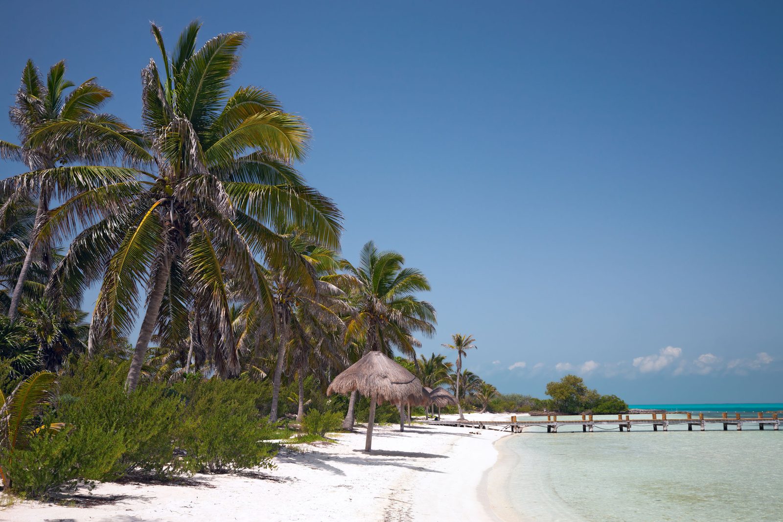 Palmeras y muelle de madera en Isla Contoy